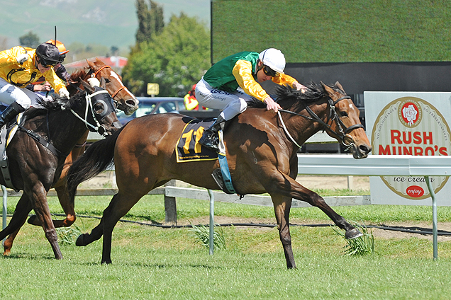 WAIKAHA winning The Stella Moment Mile (BM85)