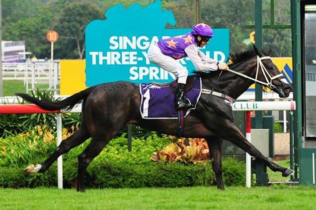 War Affair takes out the Group 3 Singapore Three-Year-Old Sprint on Sunday.