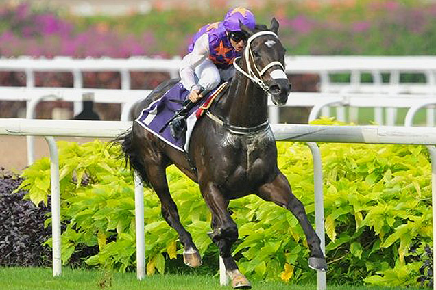 One-class act: War Affair (Danny Beasley) stretches away to a second win in the Singapore Three-Year-Old Challenge.