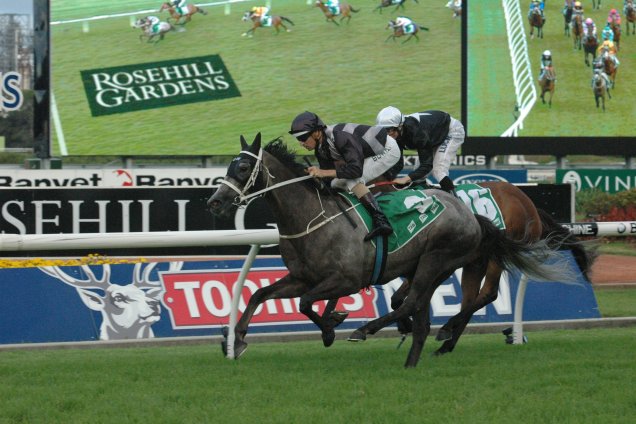 Weary winning the Doncaster Prelude