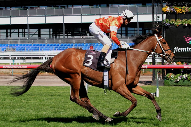 Who Shot Thebarman backs up from his 11th place in the Melbourne Cup in Saturday's Zipping Classic at Sandown.