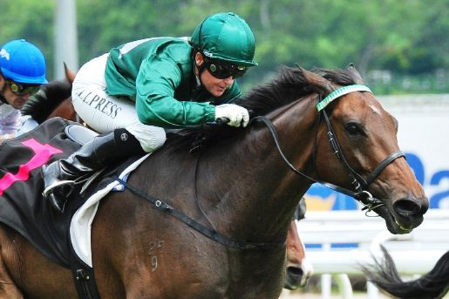 Zedkaar winning the SUPER EASY 2011 STAKES OPEN BENCHMARK 74