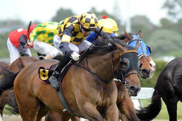 Zonza running in the Easter Handicap