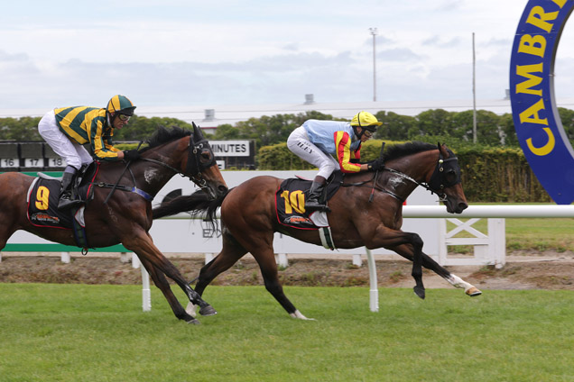 Former Jockey Lee Tiley on top of Interval (maiden galloper The Show)