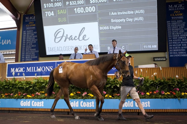 Magic Millions Yearling Sales.