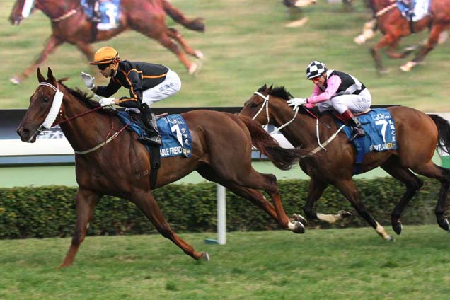 Able Friend winning the THE STEWARDS' CUP