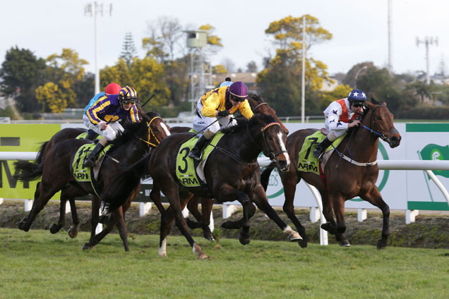 Addictive Habit (Purple Cap) winning the Lisa Chittick Foxbridge Plate