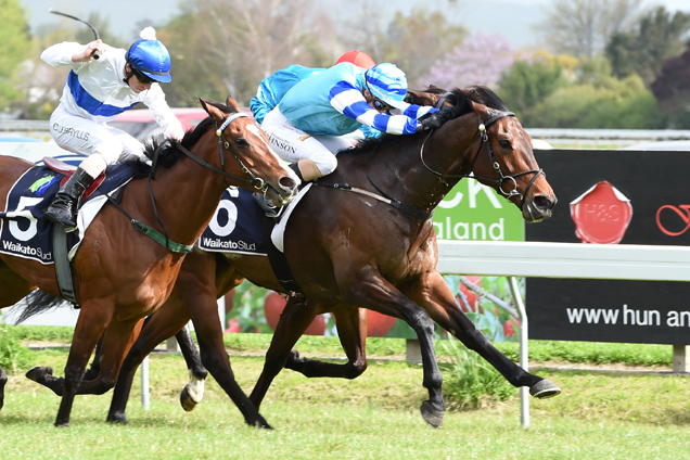 Allez Eagle winning the Linwood Park G R Kelt Memorial