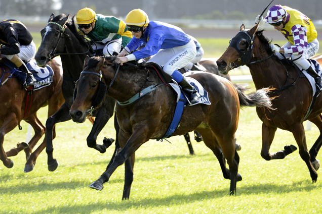 Amarula winning the Tavistock Syndicate Owners 2yo