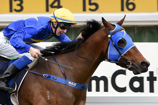 Amarula winning the Sacred Falls Hawke's Bay Gneas