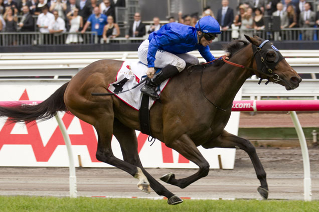 Ambience winning the Mumm Wakeful Stakes