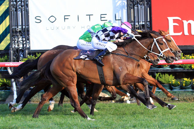 Amicus winning the Let's Elope Stakes