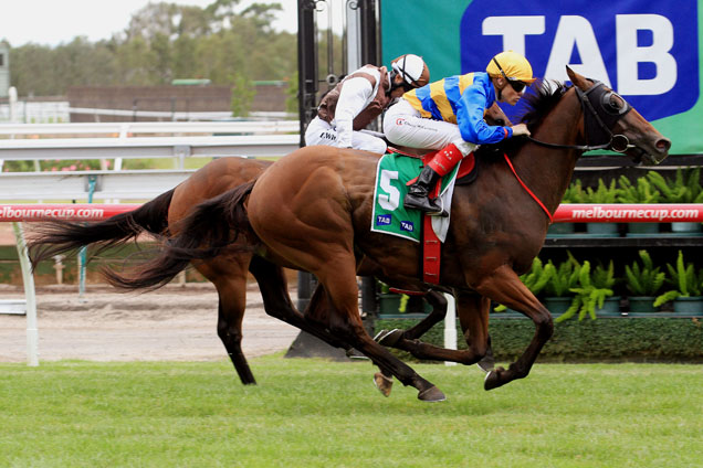 Amorino winning the Tab Rewards Stakes