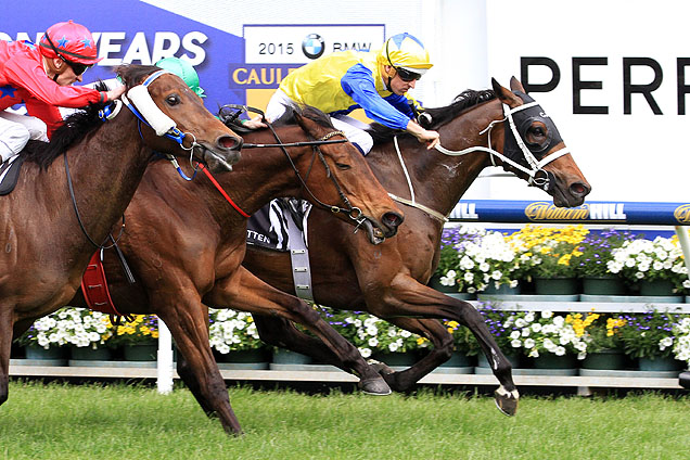 Amovatio winning the Weekend Hussler Stakes