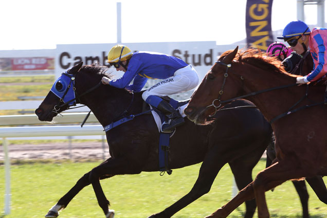 Antonio Lombardo winning the Mallet Angelo Quinn Hcp