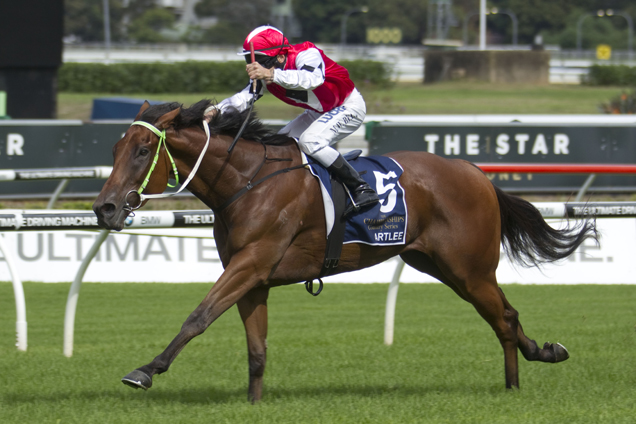 Artlee streaks clear at Randwick