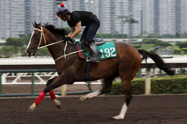 Blazing Speed at Trackwork