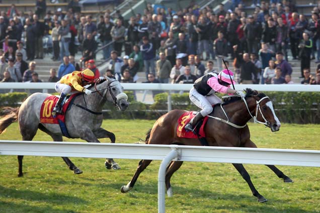 Beauty Only wins the HKG1 Hong Kong Classic Mile in style.