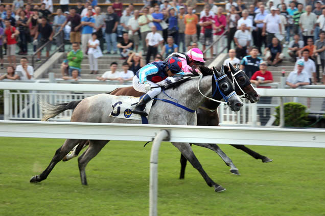 Beauty Only winning the THE KWANGTUNG HANDICAP CUP (HANDICAP)