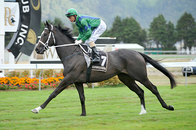 Belle Miraaj running in the New Zealand Oaks