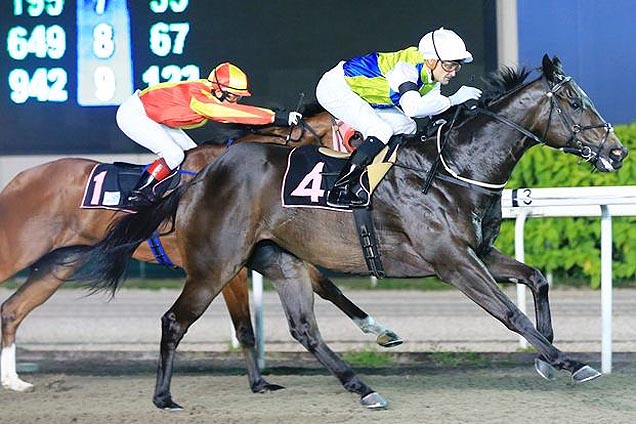 Bellwether winning the OPEN BENCHMARK 83