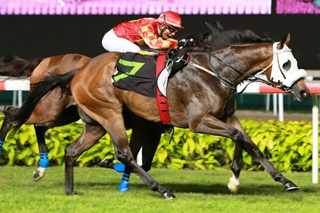 Benji's Empire winning the KRANJI STAKES D