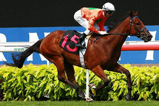 Bhaskara winning the SINGAPORE AIRLINES BOEING 707 STAKES CLASS 4