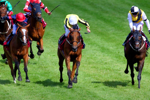 Big Orange (centre) defeats Melbourne Cup rivals Quest For More and Trip To Paris in the Goodwood Cup.