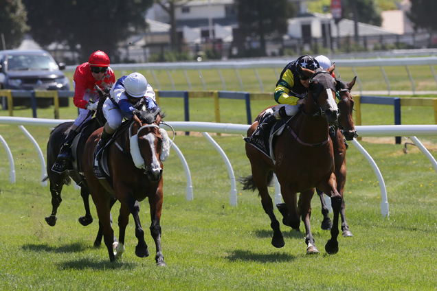 Billy Mojo winning the Mills Reef Winery & Rest. 3yo