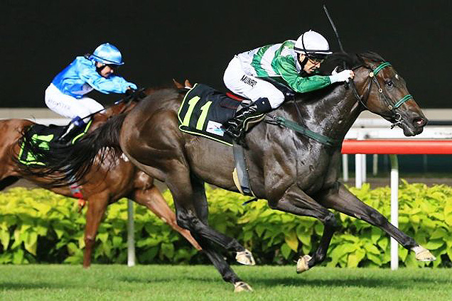 Black Fury winning the BIG MAVERICK 2008 STAKES CLASS 3