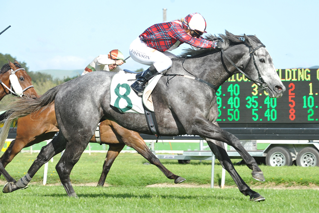 Blathwayt winning the Ricoh Feilding Gold Cup