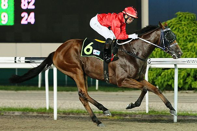 Blossoms Sequel winning the THE WOLF BLASS CUP KRANJI STAKES D