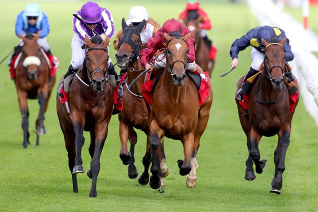 Bondi Beach (left) and Simple Verse(centre) collide on the race to the line with Storm the Stars