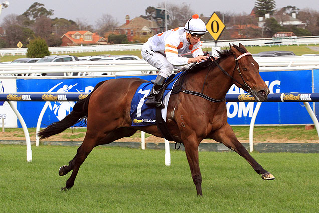 Bounding winning the Theshark.Com.Au Stakes