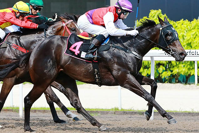 Brahma Circus continued his fine fresh form in Singapore on Sunday night.