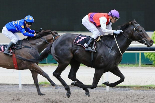 Brahma Circus winning the VICTORIA RACING CLUB TROPHY 2015 CLASS 3