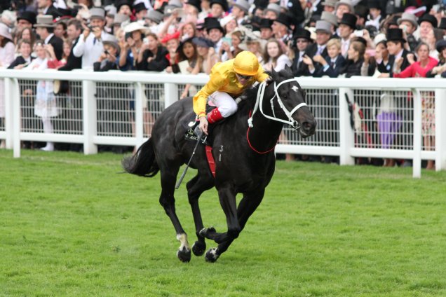 Brazen Beau running second in the Diamond Jubilee Stakes (British Champions Series & Global Sprint Challenge) (Group 1)