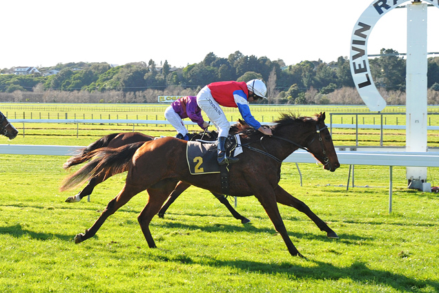 Broadside winning the Levin Cosmopolitan Club (Bm65) Race Images PN