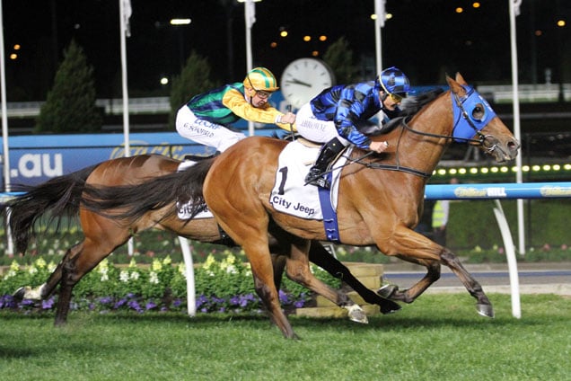 Buffering winning the City Jeep Moir Stakes