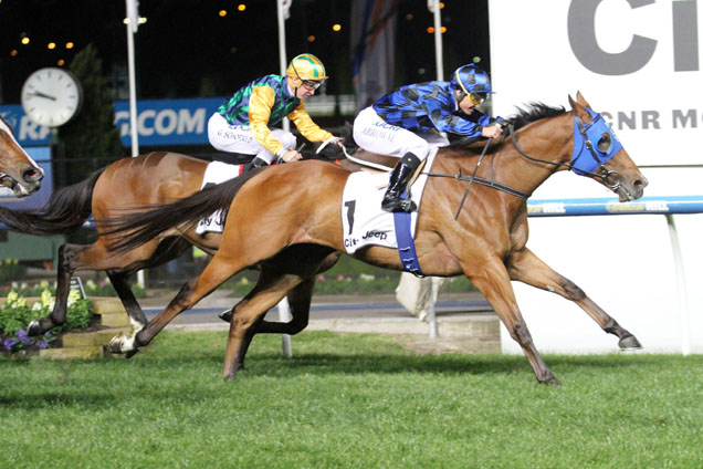 Buffering winning the City Jeep Moir Stakes