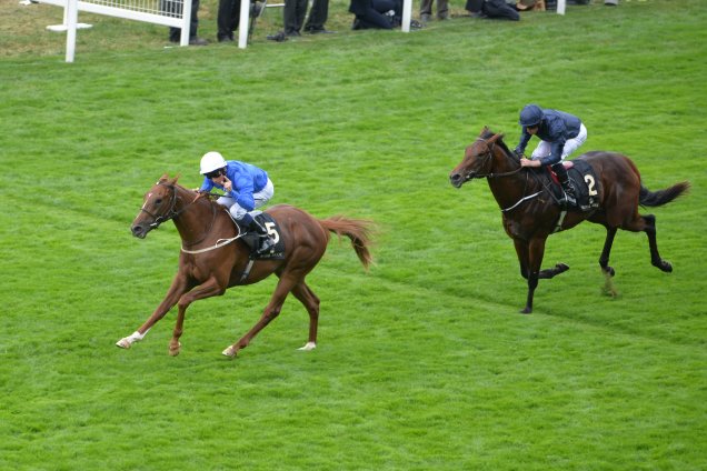 Buratino winning the Coventry Stakes (Group 2)