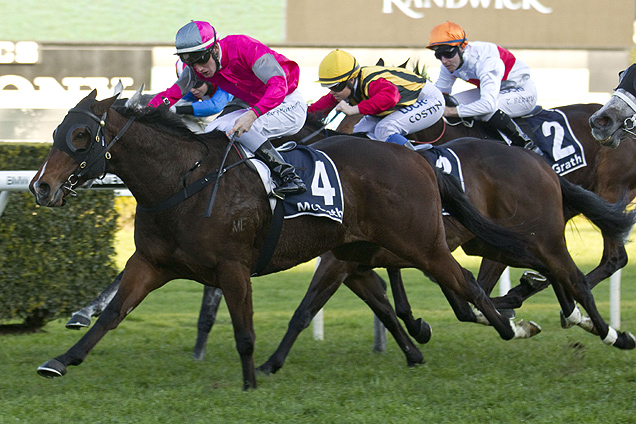 Burbero is a late entry for Thursday's Rowley Mile at Hawkesbury.