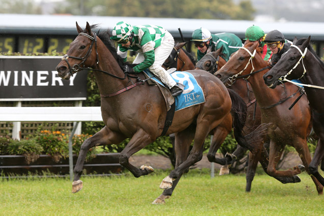 Caellum winning the Avondale Markets Counties Bowl