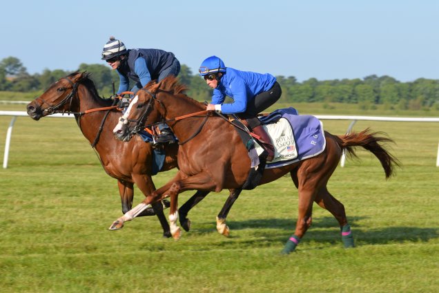 California Chrome (outside) Works at Newmarket