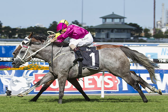 Catkins winning the Nsw T'bred Breeders Classic.