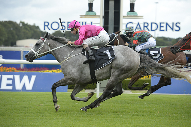 Catkins winning the Blackwood Sidchrome Millie Fox