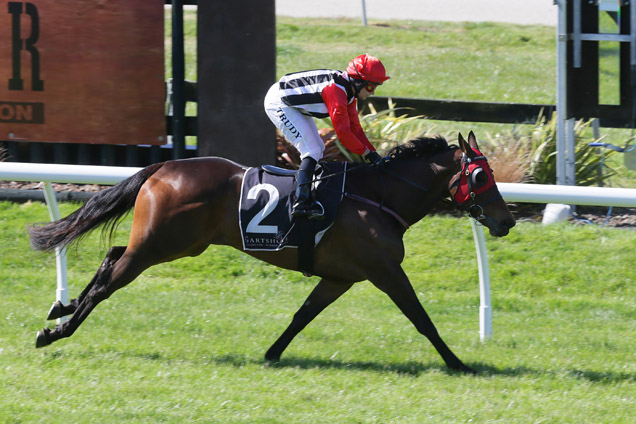 Celebrity Miss winning the Jakkalberry Rotorua Plate