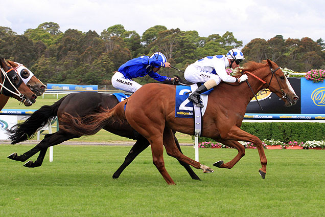 Charmed Harmony winning the Sandown Stakes