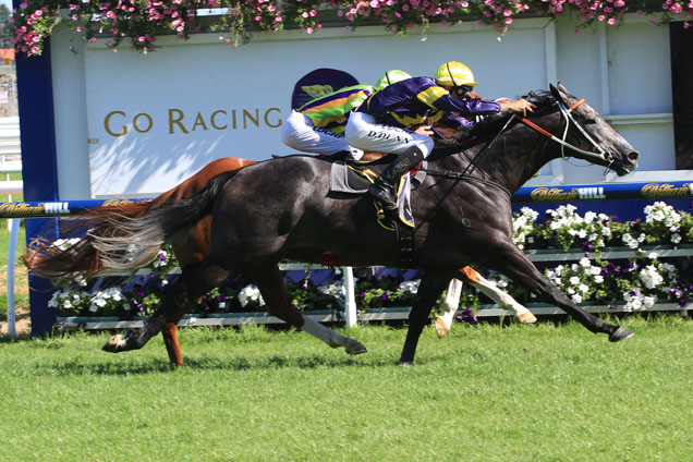 Chautauqua winning the Schweppes Rubiton Stakes