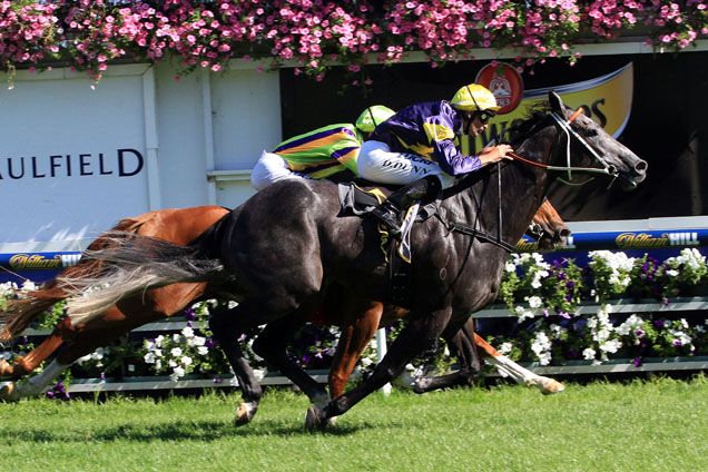 Chautauqua winning the Schweppes Rubiton Stakes